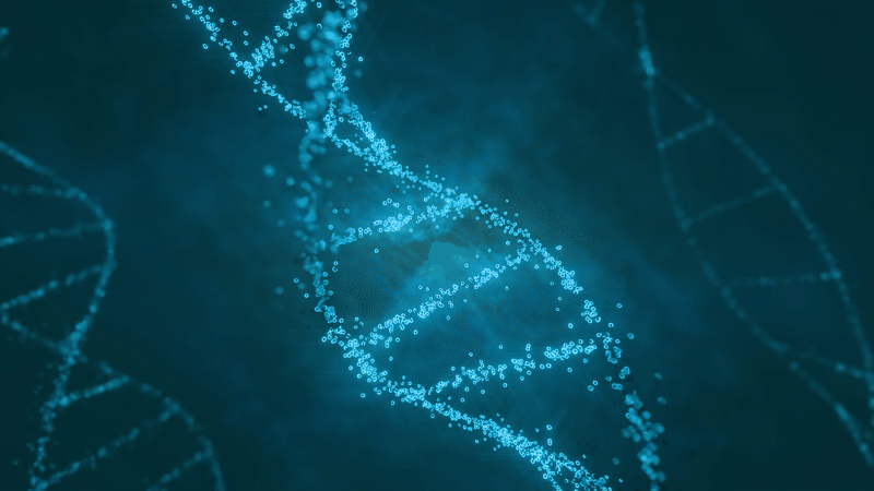 Animated background_2